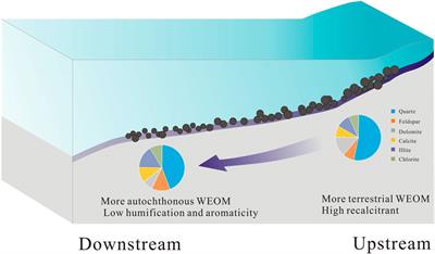 Optical and molecular diversity of dissolved organic matter in sediments of the Daning and Shennong tributaries of the Three Gorges Reservoir
